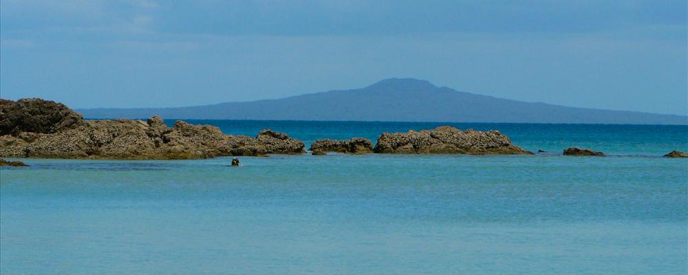 Tiritiri Matangi Island, Hauraki Gulf, New Zealand